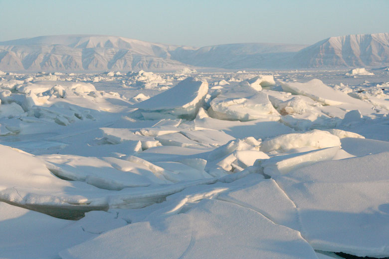 Sea ice north of Greenland. Photo credit: Courtesy Andy Mahoney, NSIDC.