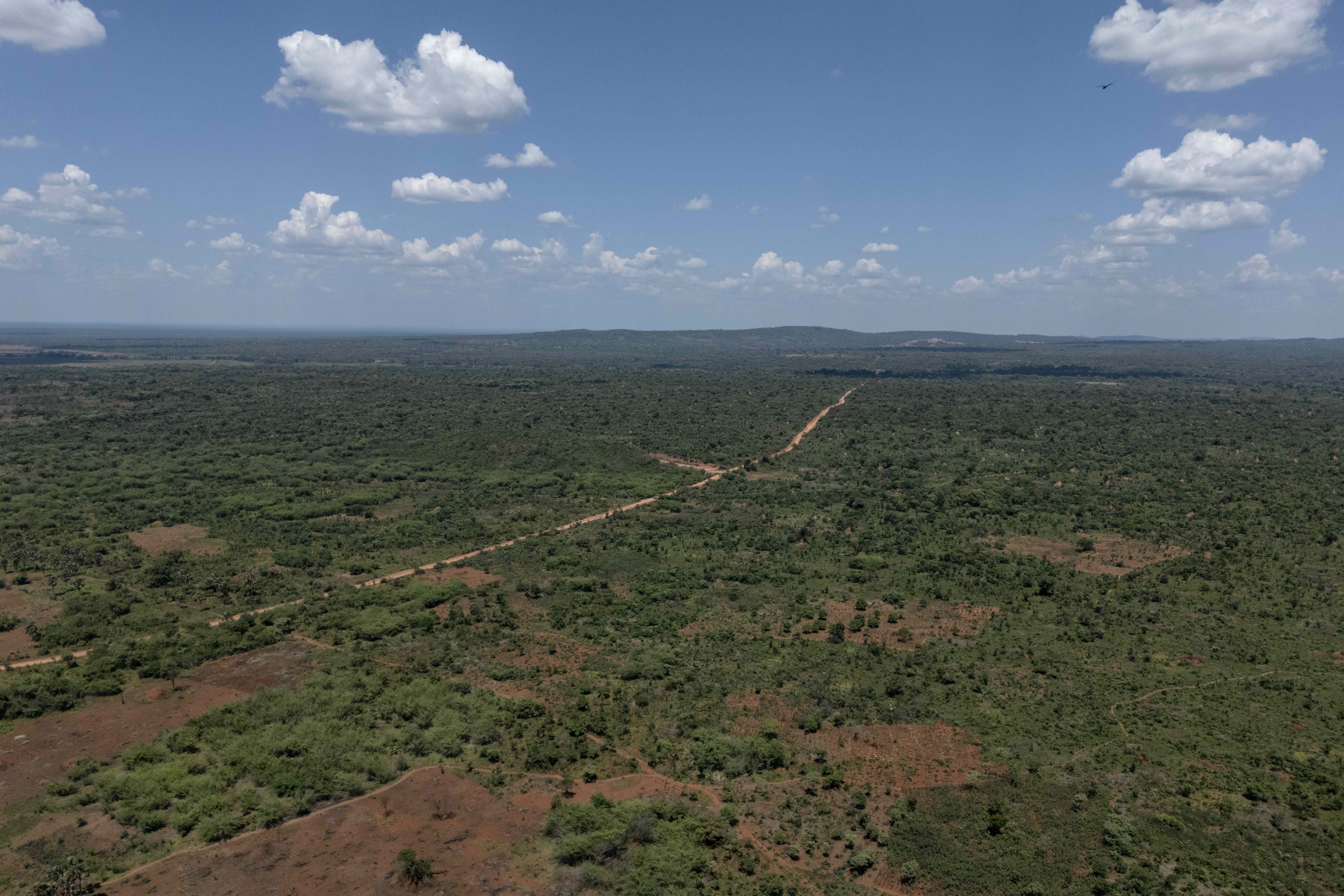 Située dans la filière du cuivre et du cobalt dans les provinces de Lualaba et du Haut-Katanga, cette région est une zone stratégique où la Chine, les États-Unis, la société publique congolaise Gécamines et d’autres acteurs internationaux sont en quête des mêmes terres aussi nécessaires pour les communautés locales que pour les forêts de miombo. Image de Glody MURHABAZI / AFP.
